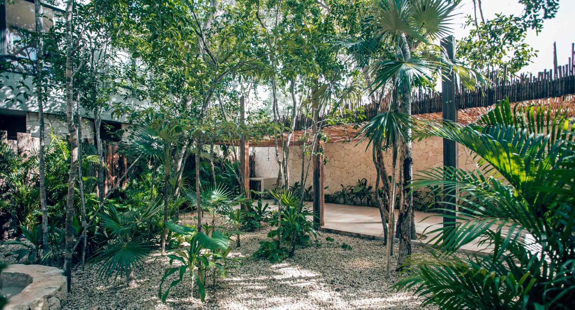 Luxury Jungle Villa-Pvt Pool -100Mbs- Concierge 8A Tulum Pueblo Buitenkant foto
